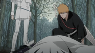 Toshiro collapses.png