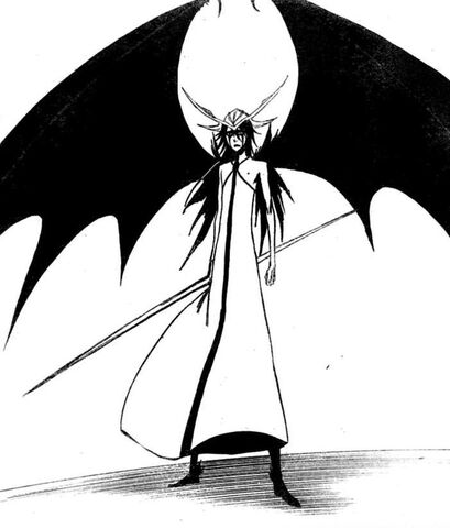 Datei:Murciélago.jpg