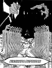 Kinshara Bankai.jpg