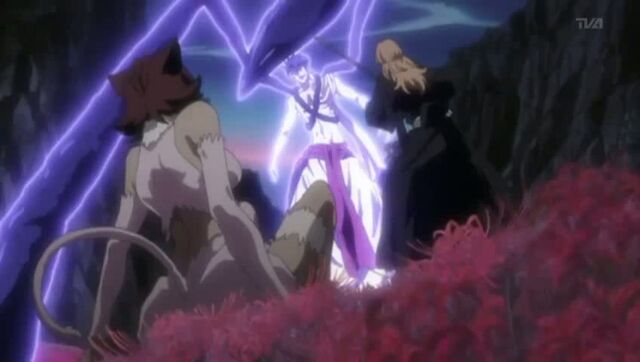 Datei:Rangiku&Hainekovstoju.jpg