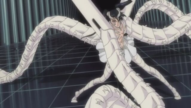 Datei:Escolopendra.jpg