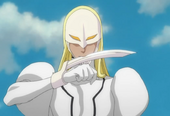 Findorhollows.png