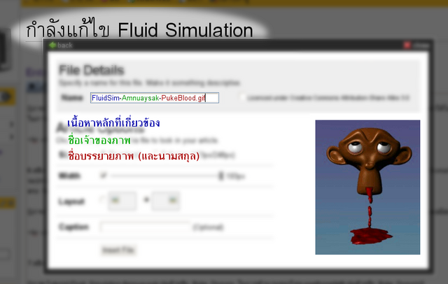 ไฟล์:การให้รายละเอียดภาพผ่านชื่อไฟล์.png
