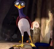 Robert