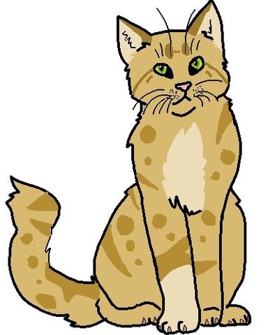 File:Copperclaw.jpg