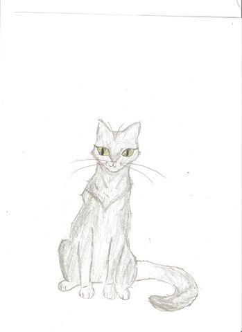 File:Geckopawdrawing.jpg