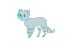 Mintfeather drawing