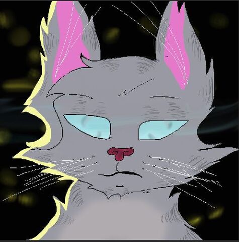 File:Jayfeather.jpg