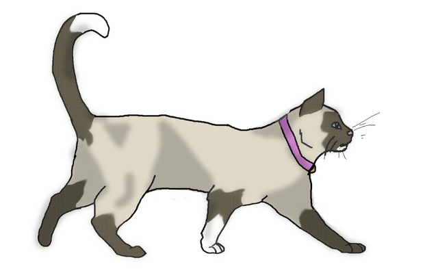 File:Wolfsonglineart.png