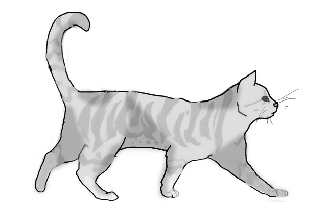File:Silverpawswiftlineartfinish.png