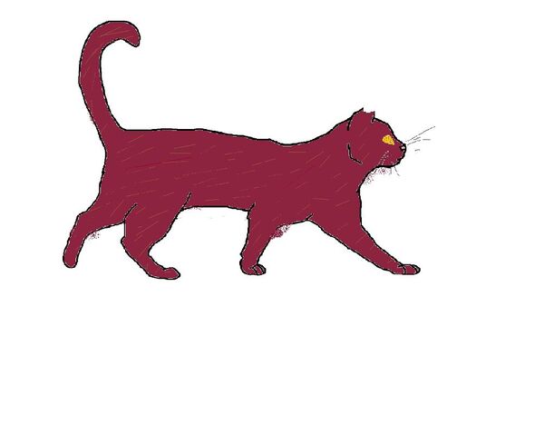 File:Swiftpaw lineart.jpg