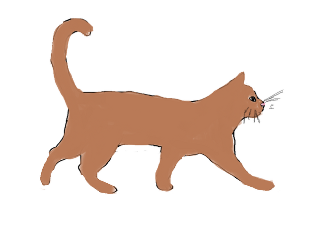 File:Untitled.png