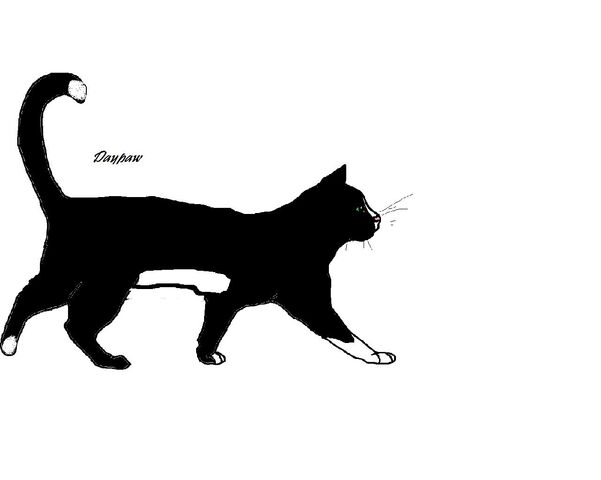 File:Daypaw lineart.jpg