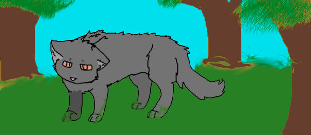 File:Saragraystar.jpg