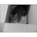 Thumbnail for version as of 03:26, June 22, 2013