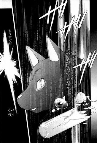 Archivo:Watanuki.Kimihiro.(Dog).600.1060920.jpg