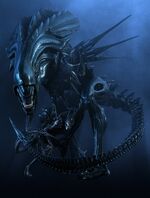 Xenomorph Queen