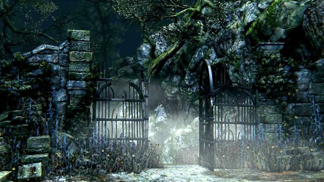 File:Bloodborne™ 20150624142303.jpg