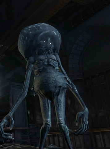 File:Bloodborne™ 20150622164840.png