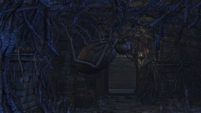 File:Bloodborne™ 20151005223925.jpg