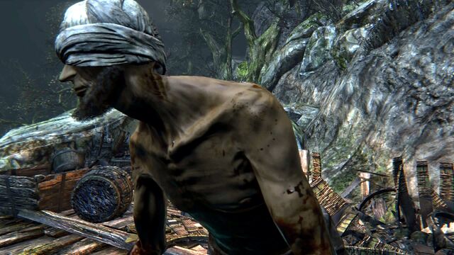 File:Bloodborne™ 20150507150801.jpg