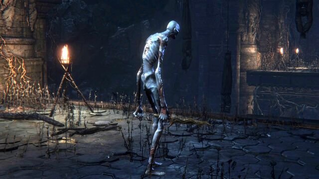 File:Bloodborne™ 20151015235433.jpg
