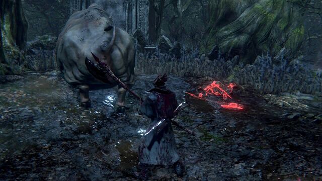 File:Bloodborne™ 20151013225034.jpg
