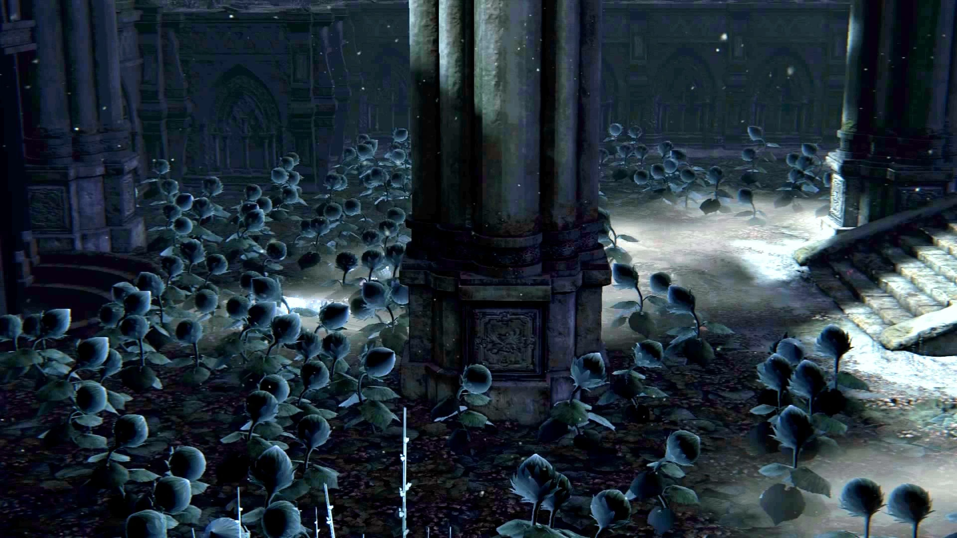 Lumenflower Gardens Bloodborne Wiki FANDOM powered by Wikia