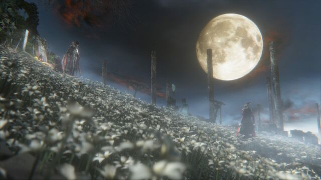 File:Image-bloodborne-c01b.jpg