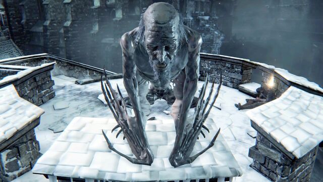 File:Bloodborne™ 20151016081511.jpg