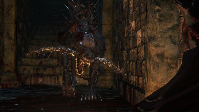 File:Bloodborne™ 20150512193705.jpg