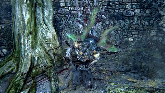 File:Bloodborne™ 20151014084428.jpg