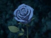 Phantoms-blue-rose