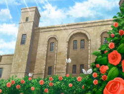 Rose garden