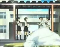 Koza high