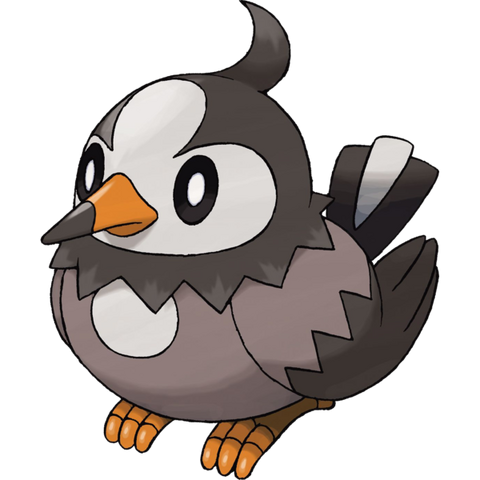 File:Barry's Starly.png