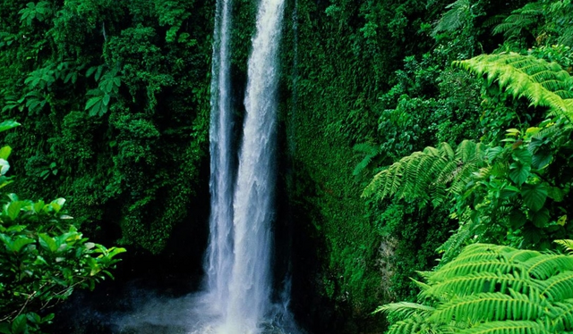 File:Waterfall.png