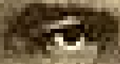 Thumbnail for version as of 19:20, February 26, 2012