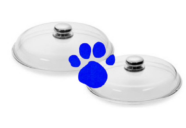 File:Pot Lids (1st Blue's Clues).png