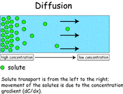 Diffusion