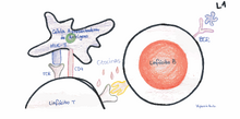 Vacina HPV 2.png