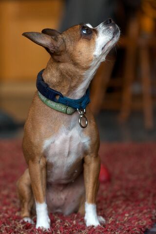 File:Maeby9.jpg