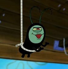 Plankton-0