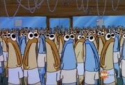 Anchovies.jpg