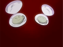 Clams