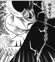 Gemini Bobobo