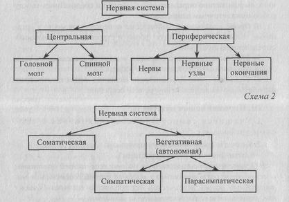 НС