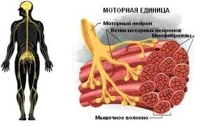 Де.jpg