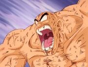 Nappa irat.jpg