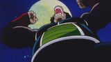 Bardock Ozaru.jpg
